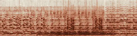 この録音の 8秒 から 38秒 までの周波数の濃淡