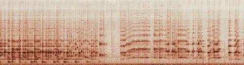 この録音の 17秒 から 47秒 までの周波数の濃淡