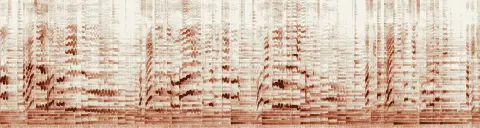 この録音の 18秒 から 48秒 までの周波数の濃淡