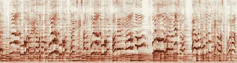 この録音の 27秒 から 57秒 までの周波数の濃淡