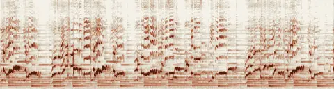 この録音の 15秒 から 45秒 までの周波数の濃淡