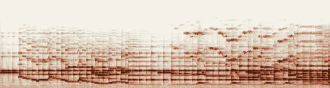 この録音の 5秒 から 35秒 までの周波数の濃淡