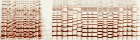 この録音の 0秒 から 10秒 までの周波数の濃淡