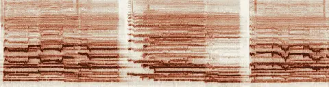 この録音の 10秒 から 40秒 までの周波数の濃淡