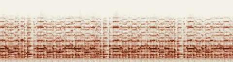 この録音の 17秒 から 47秒 までの周波数の濃淡