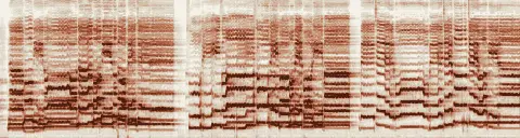 この録音の 11秒 から 41秒 までの周波数の濃淡