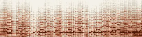 この録音の 29秒 から 59秒 までの周波数の濃淡