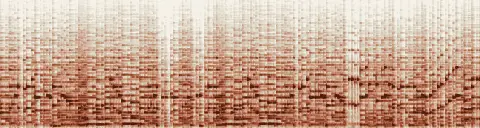 この録音の 17秒 から 47秒 までの周波数の濃淡