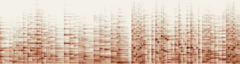 この録音の 35秒 から 1:05 までの周波数の濃淡