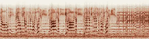 この録音の 20秒 から 50秒 までの周波数の濃淡
