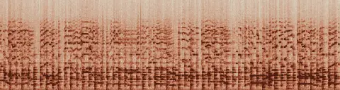 この録音の 20秒 から 50秒 までの周波数の濃淡