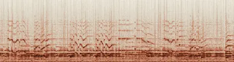 この録音の 17秒 から 47秒 までの周波数の濃淡