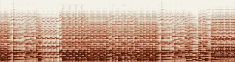 この録音の 18秒 から 48秒 までの周波数の濃淡