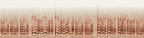 この録音の 13秒 から 43秒 までの周波数の濃淡