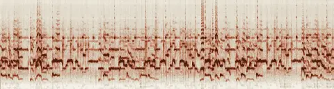 この録音の 18秒 から 48秒 までの周波数の濃淡
