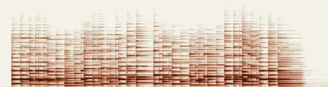 この録音の 0秒 から 19秒 までの周波数の濃淡