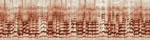この録音の 3秒 から 33秒 までの周波数の濃淡