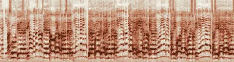 この録音の 7秒 から 37秒 までの周波数の濃淡