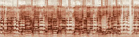 この録音の 12秒 から 42秒 までの周波数の濃淡