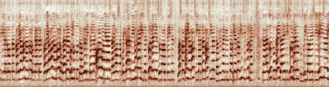 この録音の 7秒 から 37秒 までの周波数の濃淡