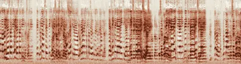 この録音の 12秒 から 42秒 までの周波数の濃淡