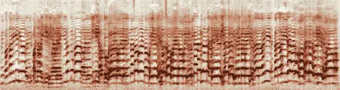 この録音の 0秒 から 28秒 までの周波数の濃淡