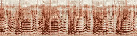 この録音の 5秒 から 35秒 までの周波数の濃淡