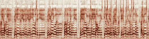 この録音の 5秒 から 35秒 までの周波数の濃淡