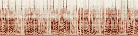 この録音の 6秒 から 36秒 までの周波数の濃淡