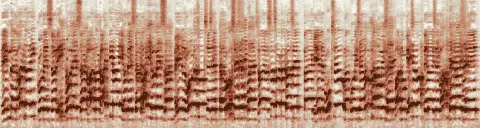 この録音の 0秒 から 21秒 までの周波数の濃淡