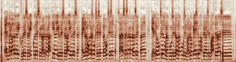 この録音の 0秒 から 21秒 までの周波数の濃淡