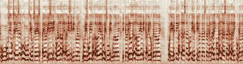 この録音の 5秒 から 35秒 までの周波数の濃淡