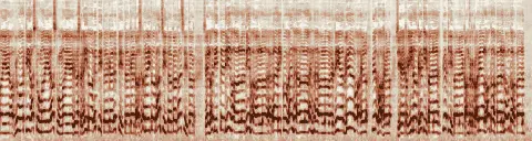 この録音の 3秒 から 33秒 までの周波数の濃淡