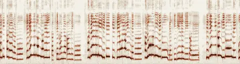 この録音の 5秒 から 35秒 までの周波数の濃淡