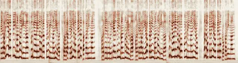この録音の 5秒 から 35秒 までの周波数の濃淡