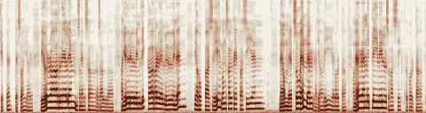 この録音の 5秒 から 35秒 までの周波数の濃淡