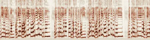 この録音の 4秒 から 34秒 までの周波数の濃淡