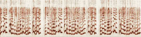 この録音の 4秒 から 34秒 までの周波数の濃淡