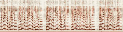 この録音の 4秒 から 34秒 までの周波数の濃淡
