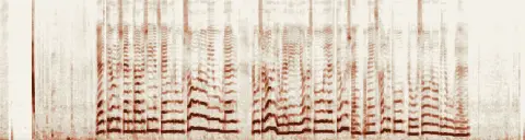 この録音の 0秒 から 15秒 までの周波数の濃淡