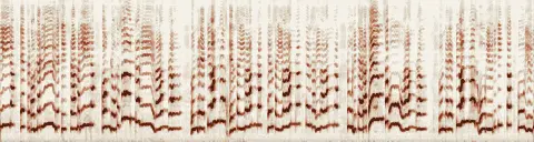 この録音の 4秒 から 34秒 までの周波数の濃淡