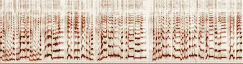 この録音の 4秒 から 34秒 までの周波数の濃淡