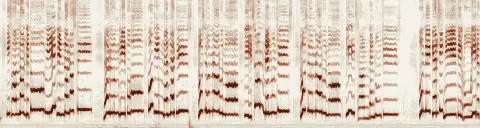 この録音の 6秒 から 36秒 までの周波数の濃淡