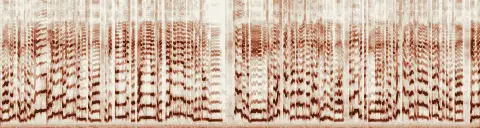 この録音の 4秒 から 34秒 までの周波数の濃淡