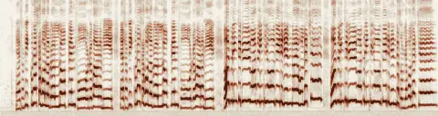 この録音の 0秒 から 17秒 までの周波数の濃淡