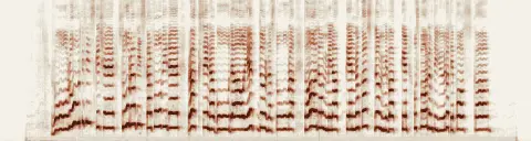 この録音の 0秒 から 17秒 までの周波数の濃淡