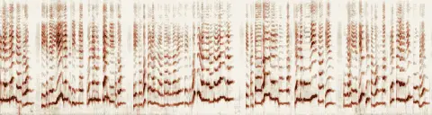 この録音の 4秒 から 34秒 までの周波数の濃淡