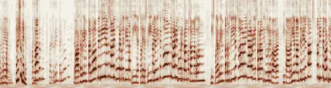 この録音の 6秒 から 36秒 までの周波数の濃淡