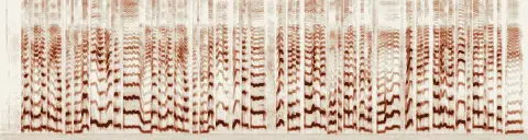 この録音の 0秒 から 22秒 までの周波数の濃淡