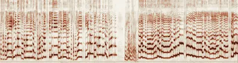 この録音の 4秒 から 34秒 までの周波数の濃淡